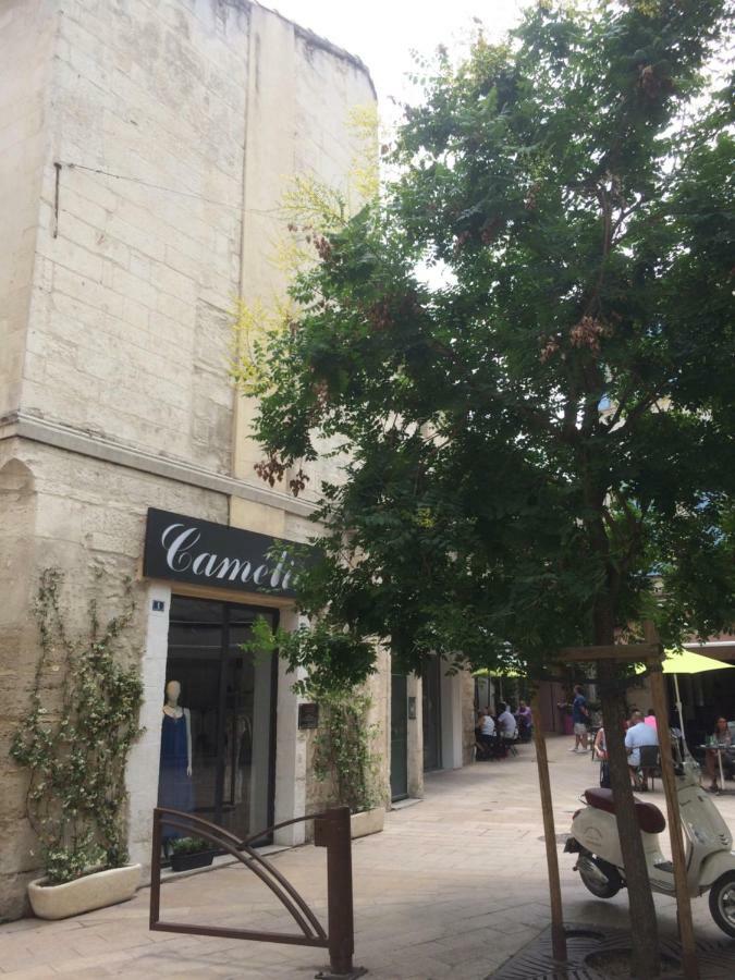 Nostradamus Apartman Saint-Rémy-de-Provence Kültér fotó
